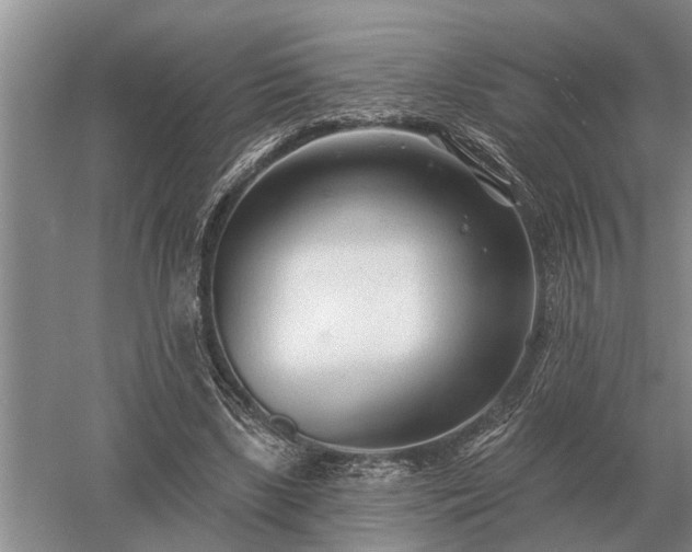 X0000052980443200507151832