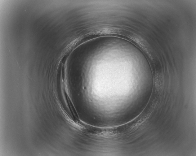 X0000052980445200507151832