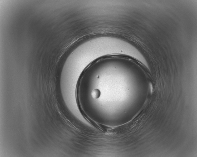 X0000052980448200507151832