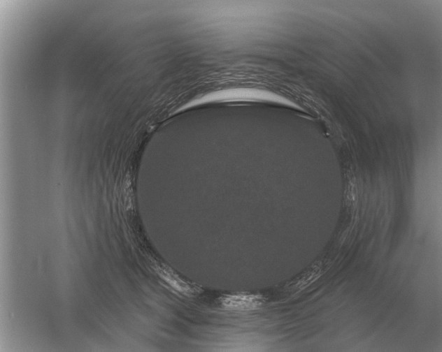 X0000052980465200507151833