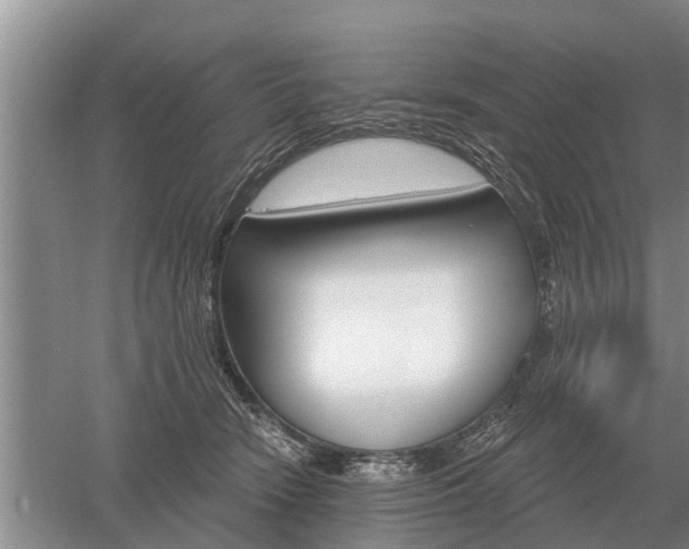 X0000052980466200507151833