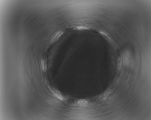 X0000052980471200507151833