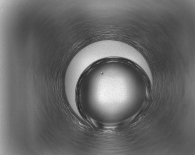 X0000052980475200507151833