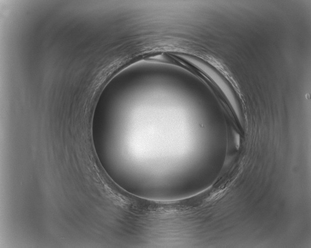 X0000052980481200507151832