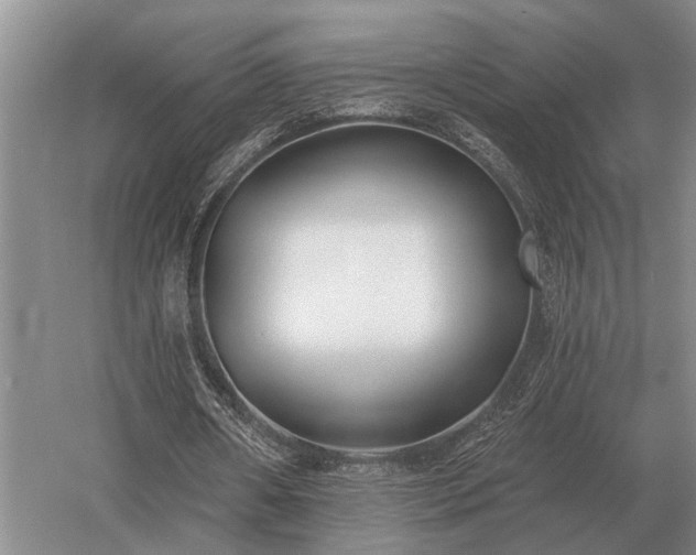 X0000052980482200507151832