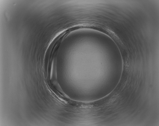 X0000052980484200507151832