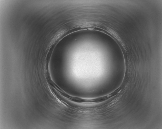 X0000052980485200507151832