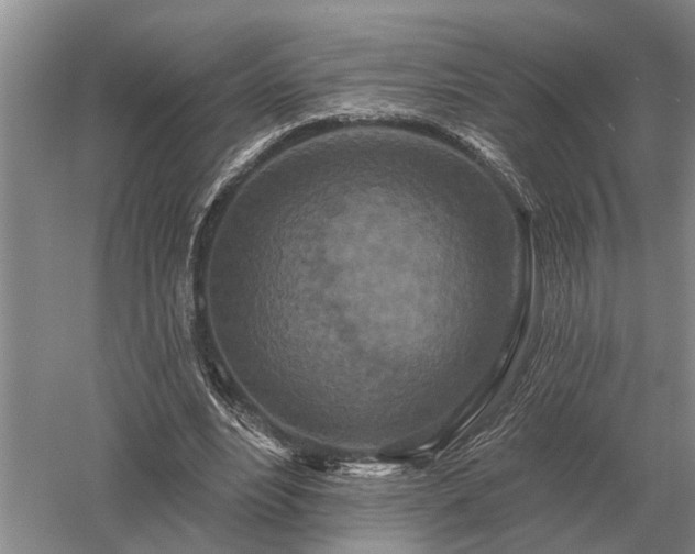 X0000052980488200507151832