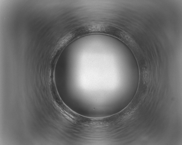 X0000052980490200507151832