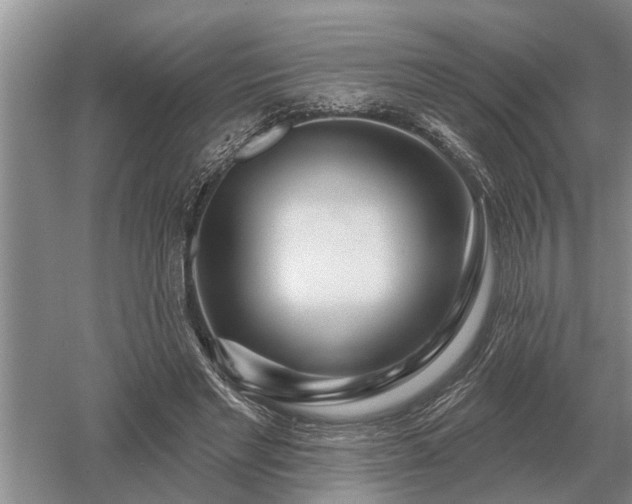 X0000052980493200507151832