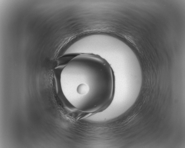 X0000052980495200507151832