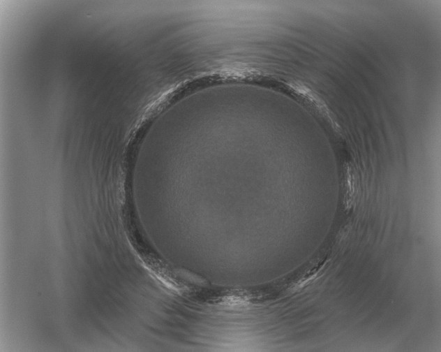 X0000052980496200507151832