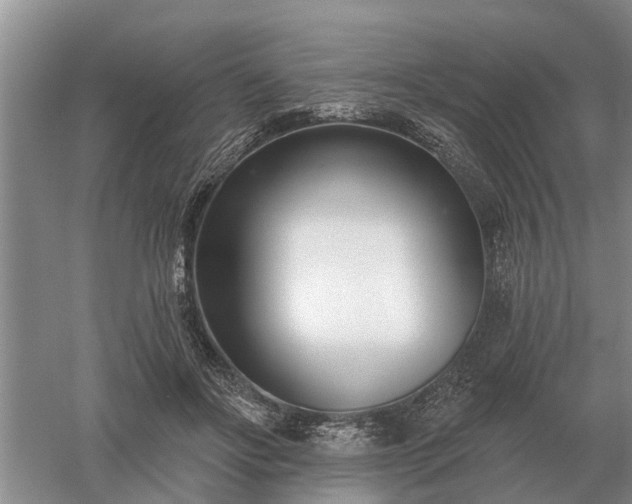 X0000052980502200507151832