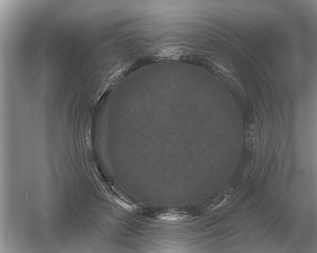 X0000052980504200507151832