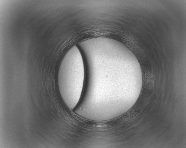 X0000052980506200507151832