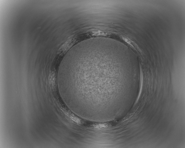 X0000052980513200507151831