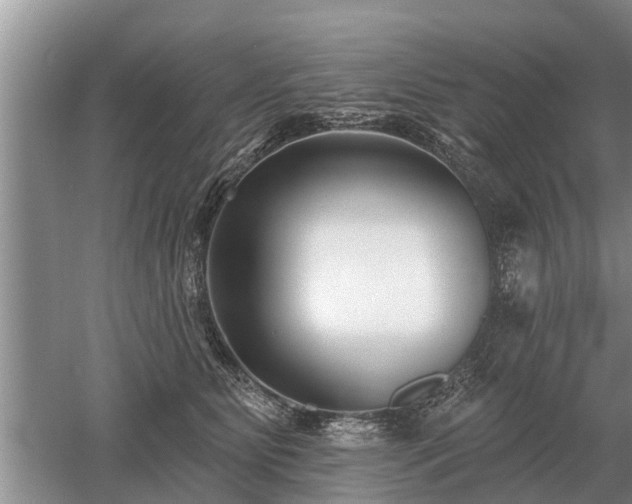 X0000052980515200507151831