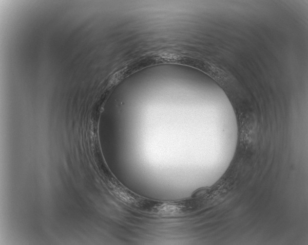 X0000052980518200507151831