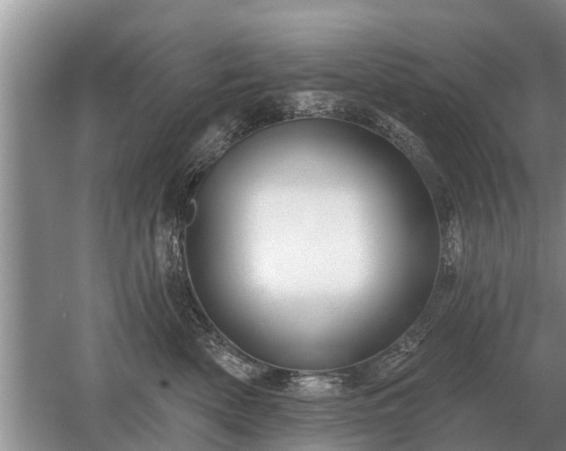 X0000052980522200507151831