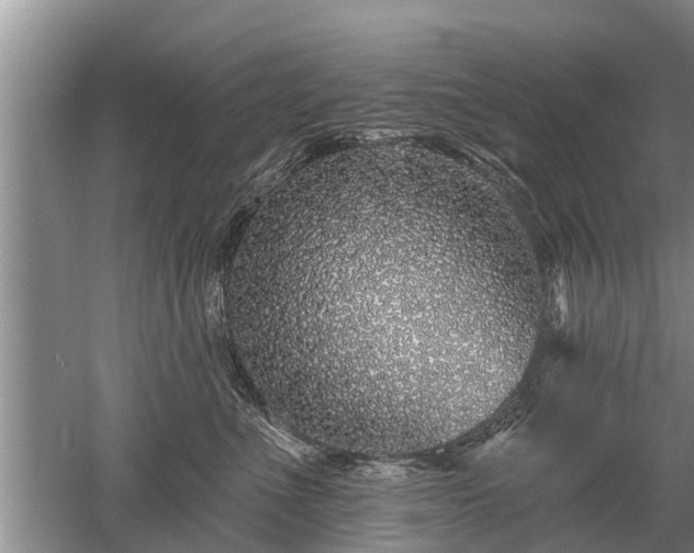 X0000052980523200507151831