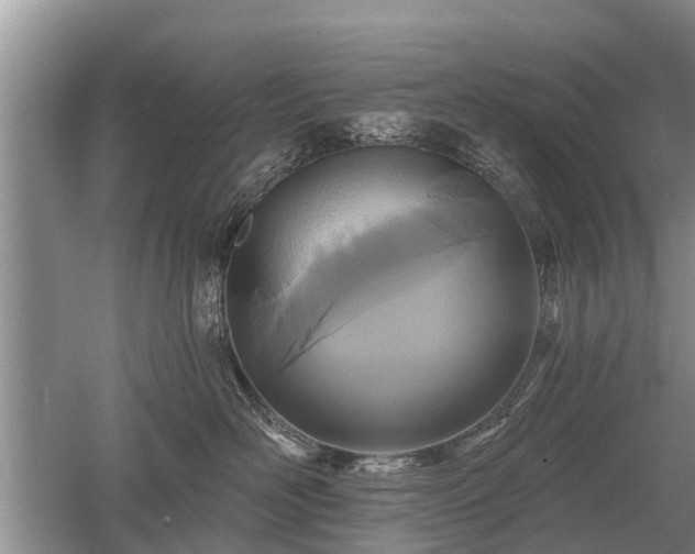 X0000052980526200507151831