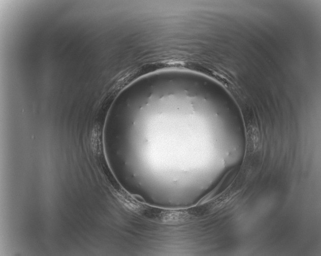 X0000052980527200507151831