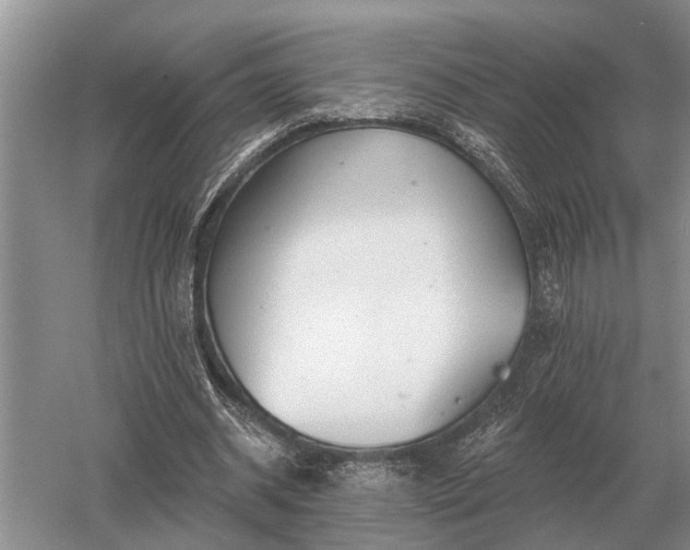 X0000052980534200507151830