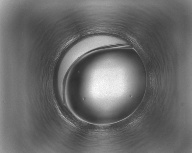 X0000052980538200507151831