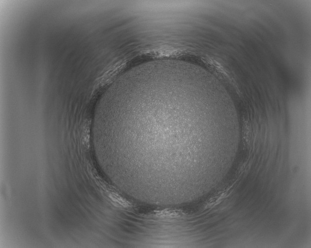 X0000052980545200507151831