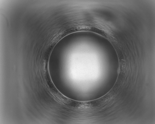 X0000052980550200507151831