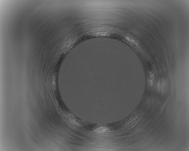 X0000052980551200507151831