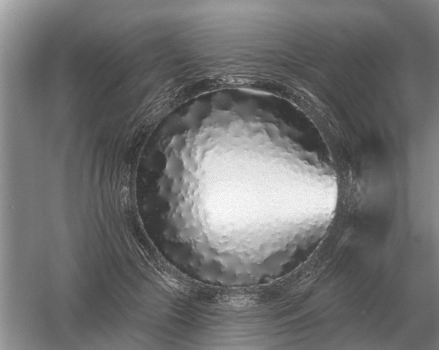 X0000052980553200507151831