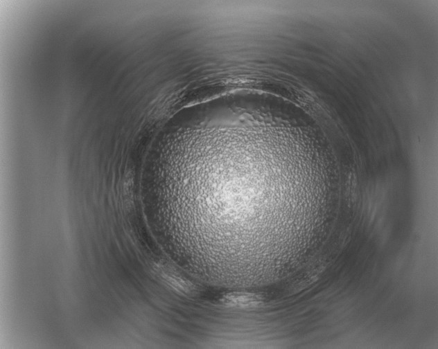 X0000052980557200507151831