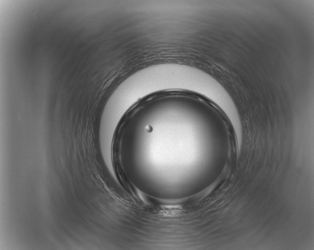 X0000052980560200507151831