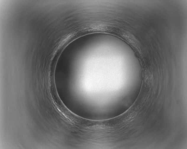 X0000052980578200507151830