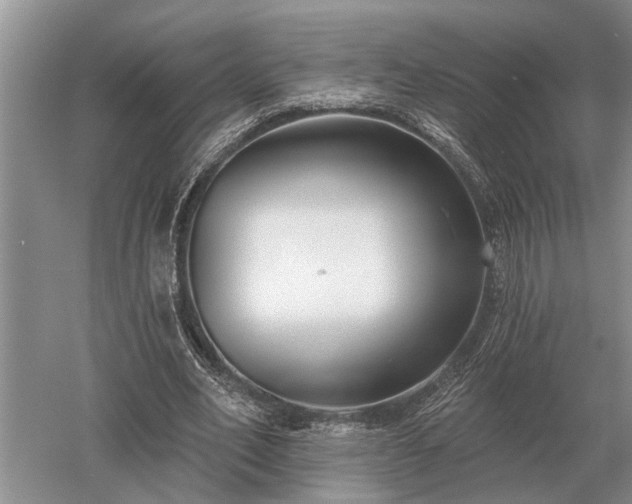 X0000052980582200507151830