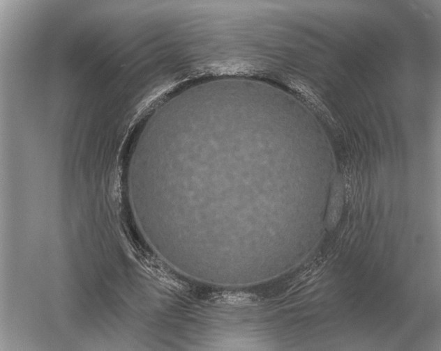 X0000052980583200507151830