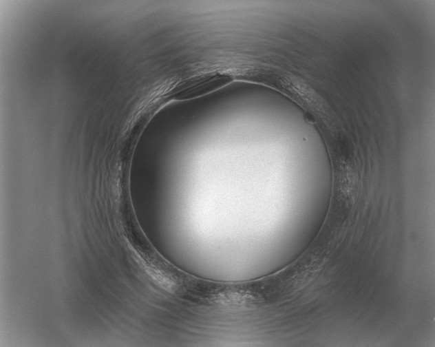 X0000052980586200507151830