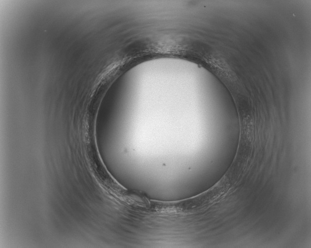 X0000052980587200507151830