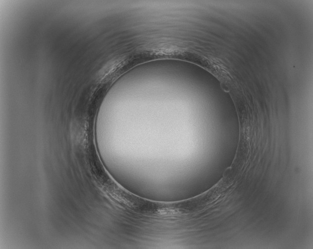 X0000052980591200507151830