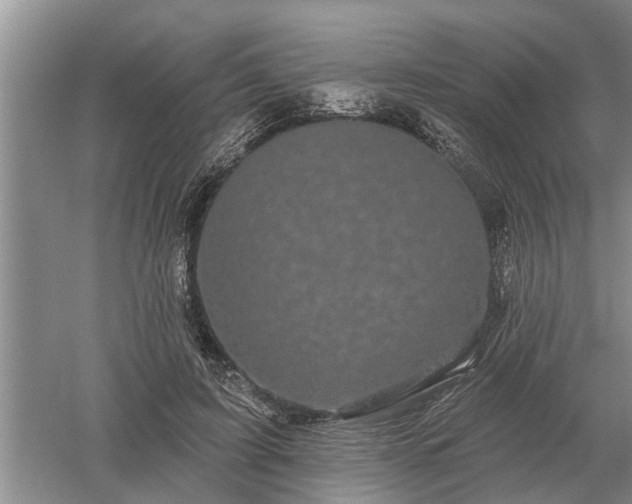 X0000052980595200507151830