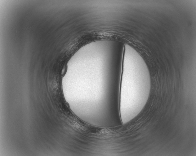 X0000052980608200507151830