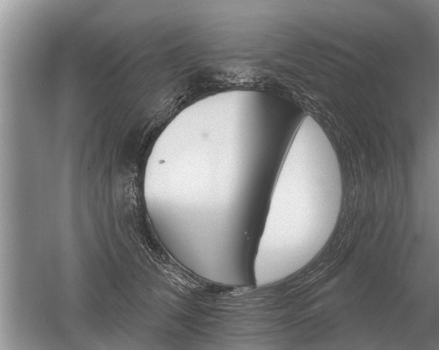 X0000052980612200507151830