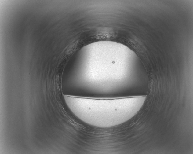 X0000052980616200507151830