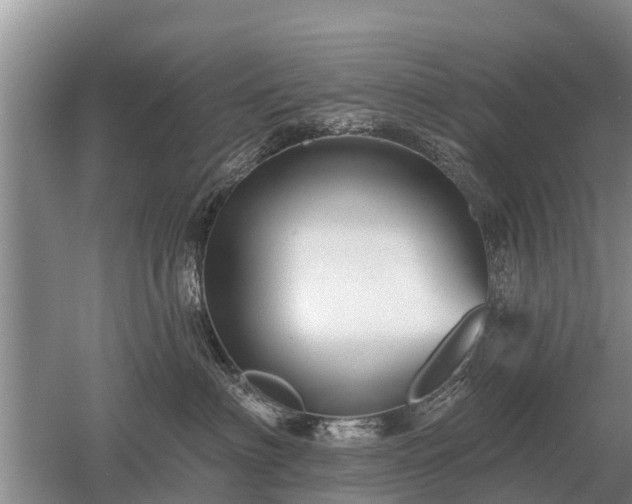 X0000052980622200507151830