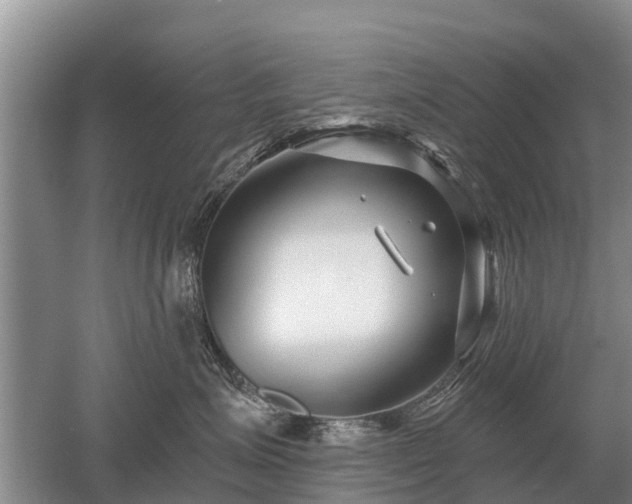 X0000052980623200507151830