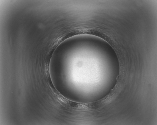 X0000052980624200507151830