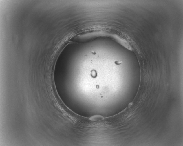 X0000052980625200507151829