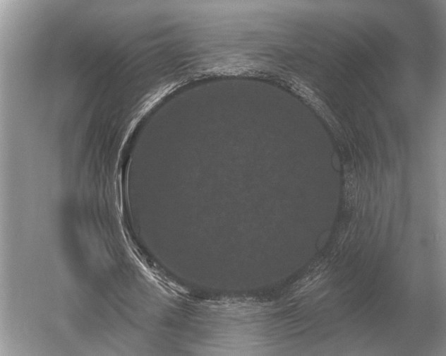 X0000052980626200507151829