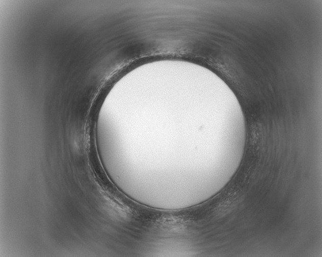 X0000052980632200507151829